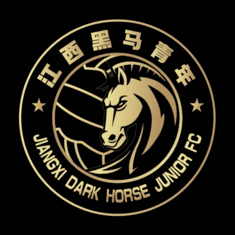  官方：江西黑馬青年完成異地遷移程序，更名為溫州職業(yè)足球俱樂部